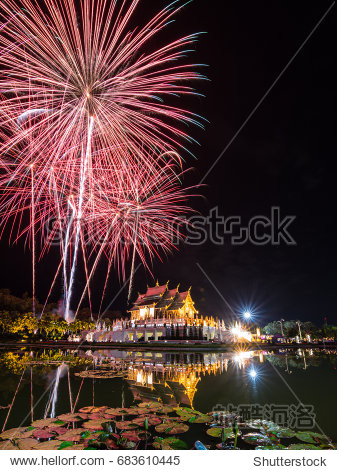 firework - 图片素材 - 站酷海洛plus正版图片, 视频, 音乐素材交易