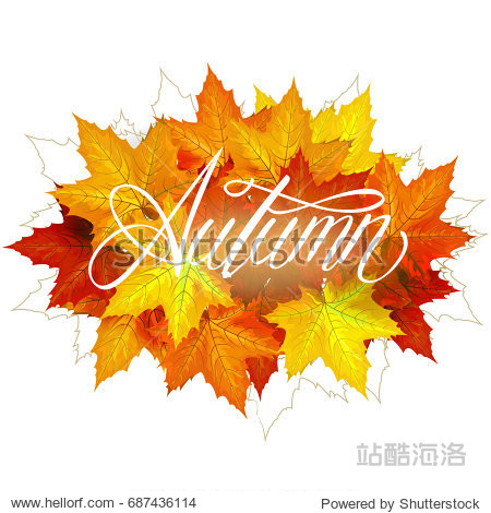 Beautiful hand drawn autumn foliage sale label banner template. Lettering design. Fall leaf. illustration