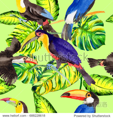 wild freedom, bird with a flying wings.