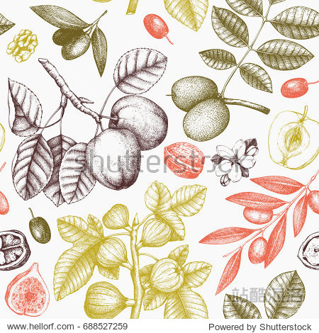 botanical garden drawing.