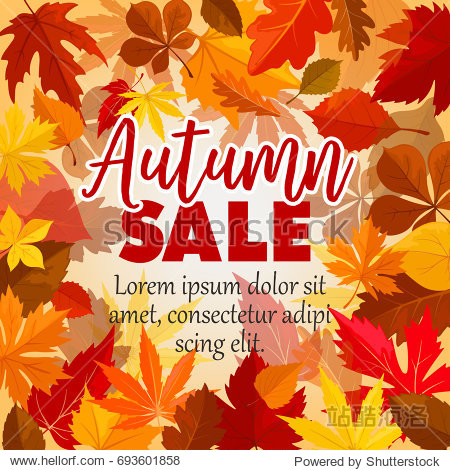 Autumn sale poster for September seasonal shopping. Vector background of maple oak or elm and rowan tree leaf pattern of falling leaves for shop autumn promo offer design