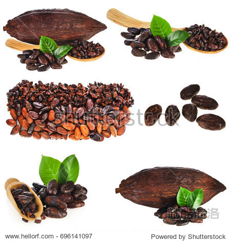 cocoa pods, cocoa beans with two leaves and cacao nibs in a