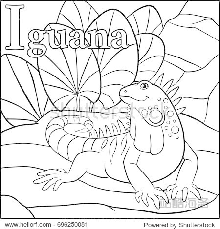 cartoon animals alphabet. i is for iguana.
