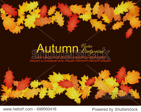 Autumn vector background with oak leaf frame or border illustration on dark background. Red yellow orange and brown dry oak tree leaves background pattern. Autumn foliage on brown background.