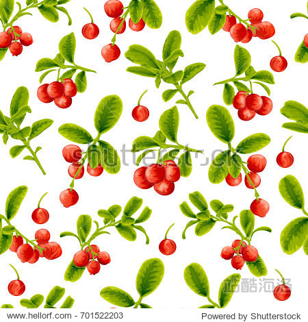 seamless pattern lingonberry berries on a white background.