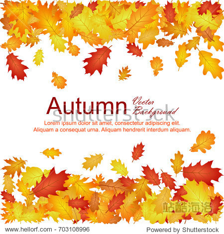 Horizontal borders of oak leaf abstract background seasonal vector illustration. Autumn leaves falling frame design. Fall season specific vector background. Oak tree autumn foliage border on white.