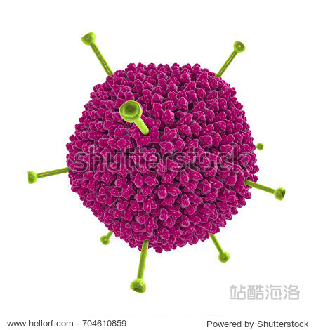 molecular model of adenovirus isolated on white ba