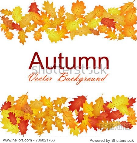 Oak leaf abstract background seasonal vector illustration. Autumn leaves falling graphic design. Fall season specific vector background. Oak tree autumn foliage on white.