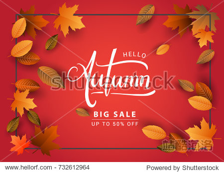 Autumn Sale Background Hand Drawn Autumn calligraphy with falling leaves Web Banner shopping sale or seasonal poster Postcard and Invitation card. Vector illustration