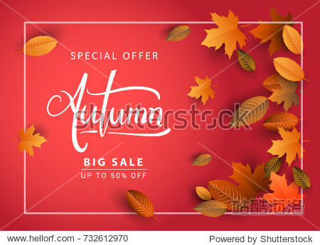 Autumn Sale Background Hand Drawn Autumn calligraphy with falling leaves Web Banner shopping sale or seasonal poster Postcard and Invitation card. Vector illustration