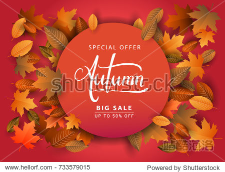 Autumn Sale Background Hand Drawn Autumn calligraphy with falling leaves Web Banner shopping sale or seasonal poster Postcard and Invitation card. Vector illustration