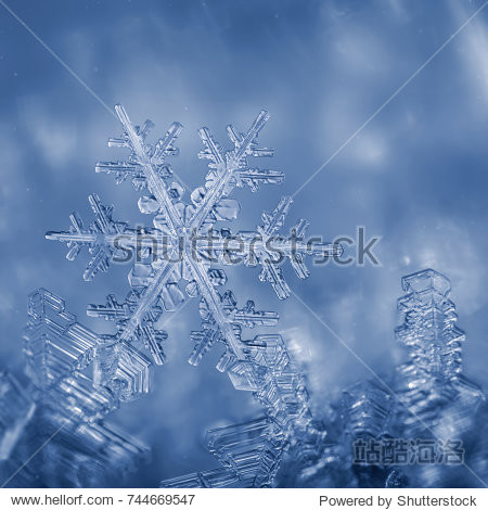 ice, frost and snowflakes - 站酷海洛正版图片, 视频, 音乐素材交易