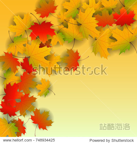 Autumn yellow orange red maple leaves background in vector. Nature colors of autumn. Falling colored leaves on white for banner poster leaflet card poster. Autumn botany landscape. Autumn fall.