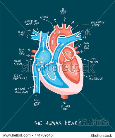 colorful element on dark background.