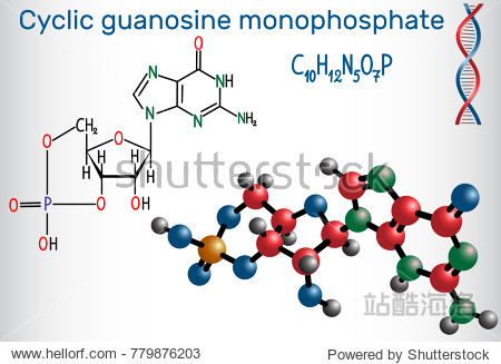 cyclic guanosine monophosphate (cgmp) molecule.