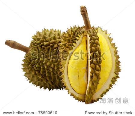 durian isolated on white background - 图片素材 - 站酷海洛plus