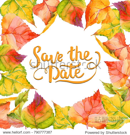 Autumn leaf of poplar frame in a hand-drawn watercolor style. Aquarelle leaf of poplar for background texture wrapper pattern frame or border.