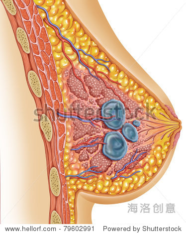 bundle in you suckle them - 站酷海洛正版图片, 视频, 音乐素材交易