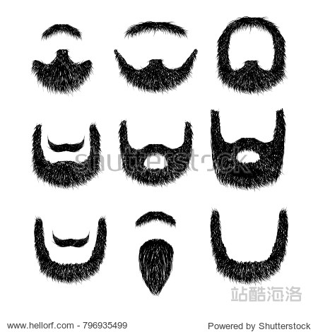 realistic beard set isolated on white background vector