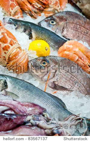 fresh fish and seafood arrangement