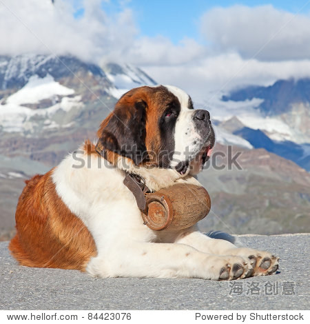 st. bernard dog with keg ready for rescue operation