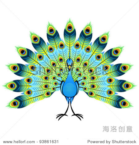 beautiful peacock vector illustration