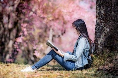 beautiful young woman sitting under big tree on sunny spring day in park during cherry blossom season, reading a book