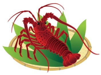 japanese spiny lobster on a bamboo basket, isolated on the white background.