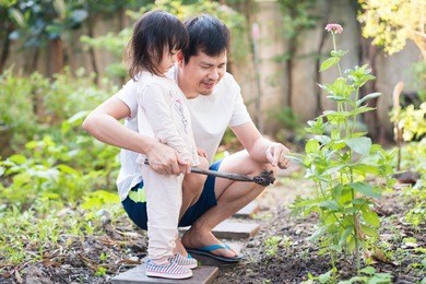 asian father and daughter in the little vegetables garden at the outside , they are loosen the soil in the morning time, learning by playing for toddler, love in family life concept.
