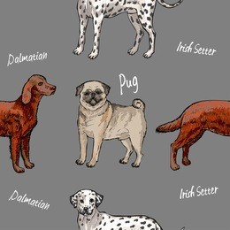 seamless pattern with dogs. hand drawn  sketches. illustration