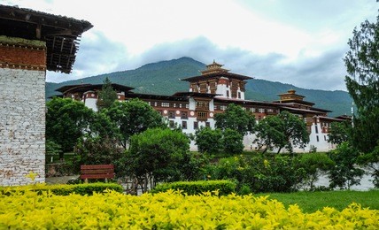 punakha dzong with spring garden in punakha, kingdoom of bhutan.