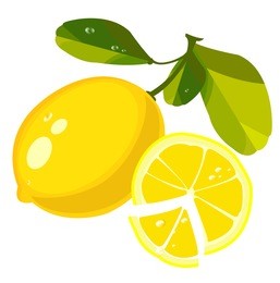 
lemon with branch and slice