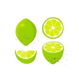 collection of limes, isolated on white background. vector illustration.