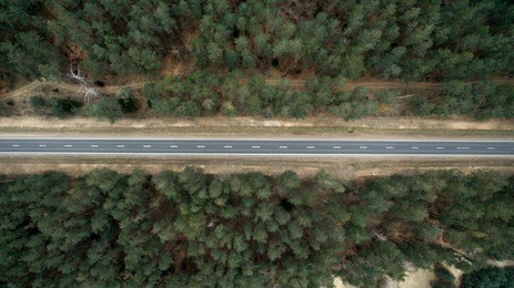 asphalt road and autumn forest from a bird's eye view. aerial photography of nature.