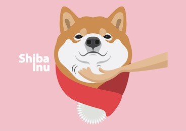 cute shiba inu feels good and keeping warm