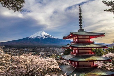 mount fuji chureito pagoda
