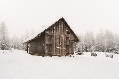 foggy forest, wood house