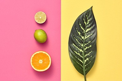 vegan. tropical summer design set. palm leaf and fresh fruits. trendy fashion concept. flat lay. creative bright pink yellow color. minimal