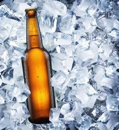 bottle of beer is in ice