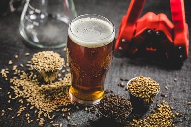 homebrew honey brown beer, different barley and brewing equipment in studio with dramatic light