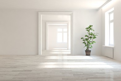 white empty room. scandinavian interior design. 3d illustration