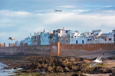 amazing panoramic view of essaouira ramparts aerial in essaouira, morocco.