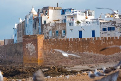 amazing panoramic view of essaouira ramparts aerial in essaouira, morocco.