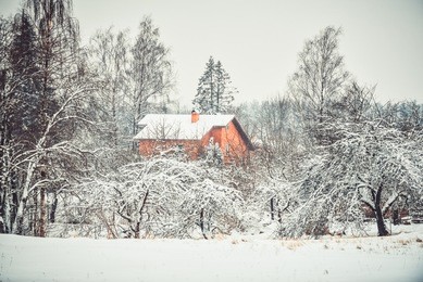 winter landscape and house on the background. countryside on snowy winter day.