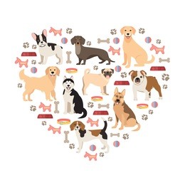 dog lovers flat style collection. cartoon dogs breeds set. vector illustration isolated on white