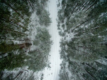 winter forest and road. view from above. the photo was taken with a drone. pine and spruce forest with a road in the snow.