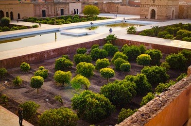 orange trees in el badi palace in marrakech