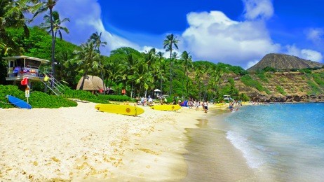 beautiful exotic beach in oahu, hawaii - hanauma bay - the view on the lifeguard house, palm trees and plants, mountains and yellow surf boards on the white sandy beach