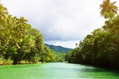 famous loboc river in bohol philippines