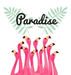 flamingo bird illustration design on background